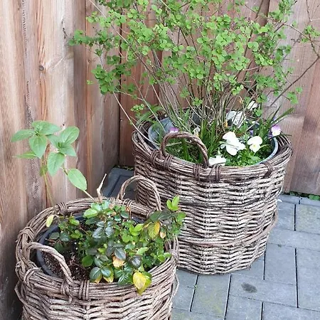 Apartamento Heusler Hasselfelde