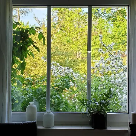 Heusler Apartment Hasselfelde