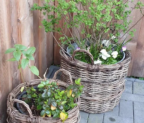 아파트 Heusler 하셀펠데