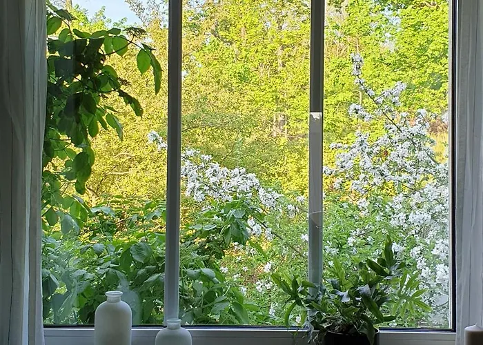 Heusler 아파트 하셀펠데